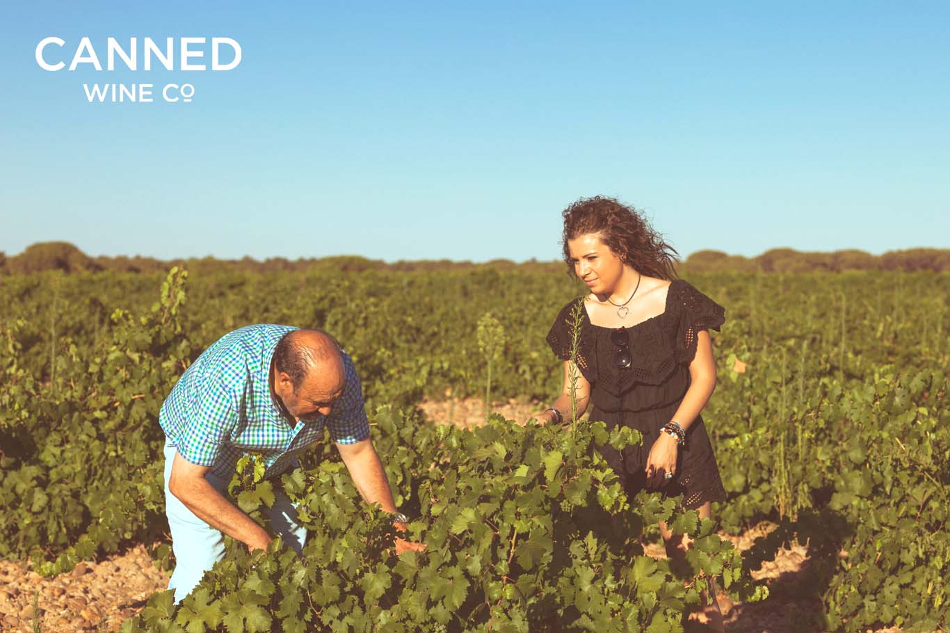 The Barrel Aged Verdejo: From Vine to Plate